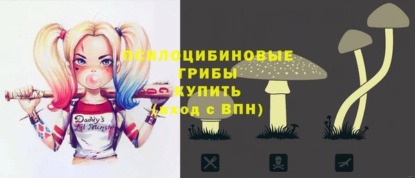 тгк Арсеньев